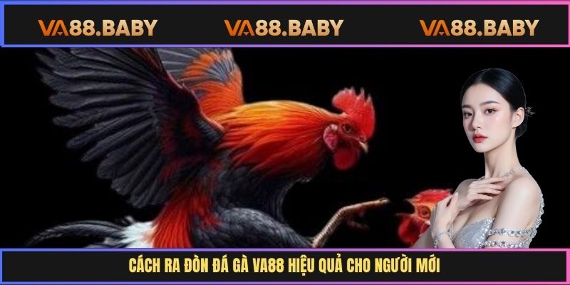 Cách ra đòn đá gà Va88 hiệu quả cho người mới