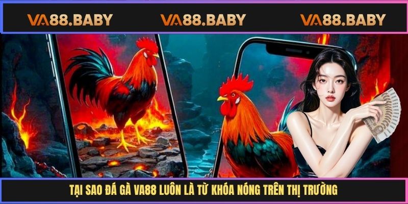 Tại sao đá gà Va88 luôn là từ khóa nóng trên thị trường
