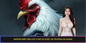 Những điều cần lưu ý khi cá cược tại trường gà Savan